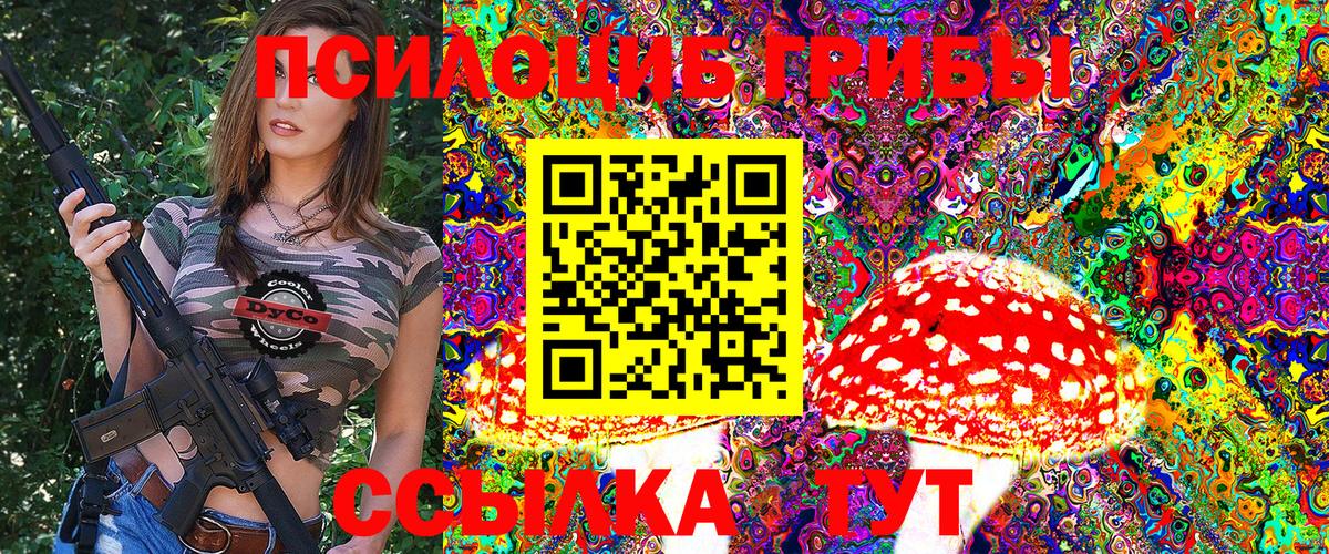 Псилоцибиновые грибы Psilocybe  Галлюциногенные грибы мицелий  Серпухов  Вход с VPN 